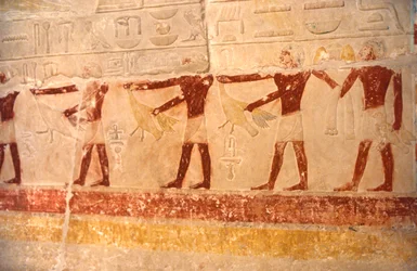 Hieroglyphics, Egypt